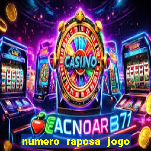 numero raposa jogo do bicho